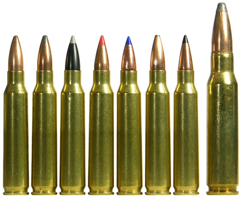 223 and 308 ammo