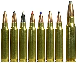 223_Remington