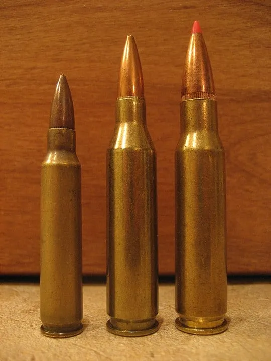 (Left to right) .223 Remington, .243 Winchester, .308 Winchester calibers Source: Wikimedia