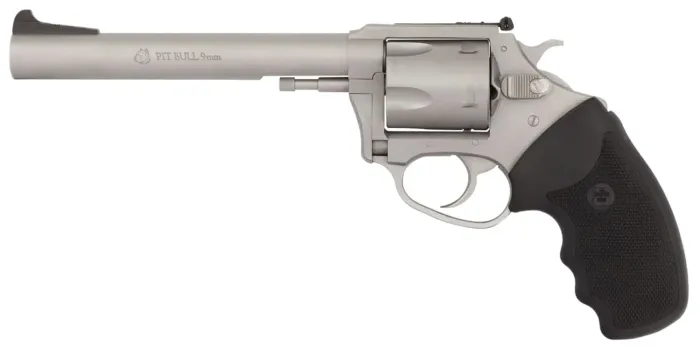 CHARTER ARMS PITBULL