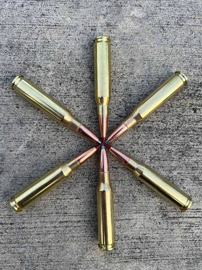 7mm 08 ammo cartridges