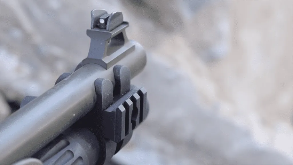 Beretta 1301 Tactical sight