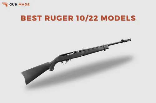 4 Best Ruger 10/22 Models [2023]: Hunting, Competition, & More preview image