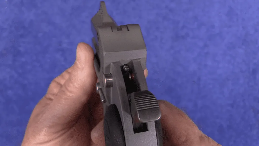 Bond Arms .45 ACP Roughneck Sights & Hammer