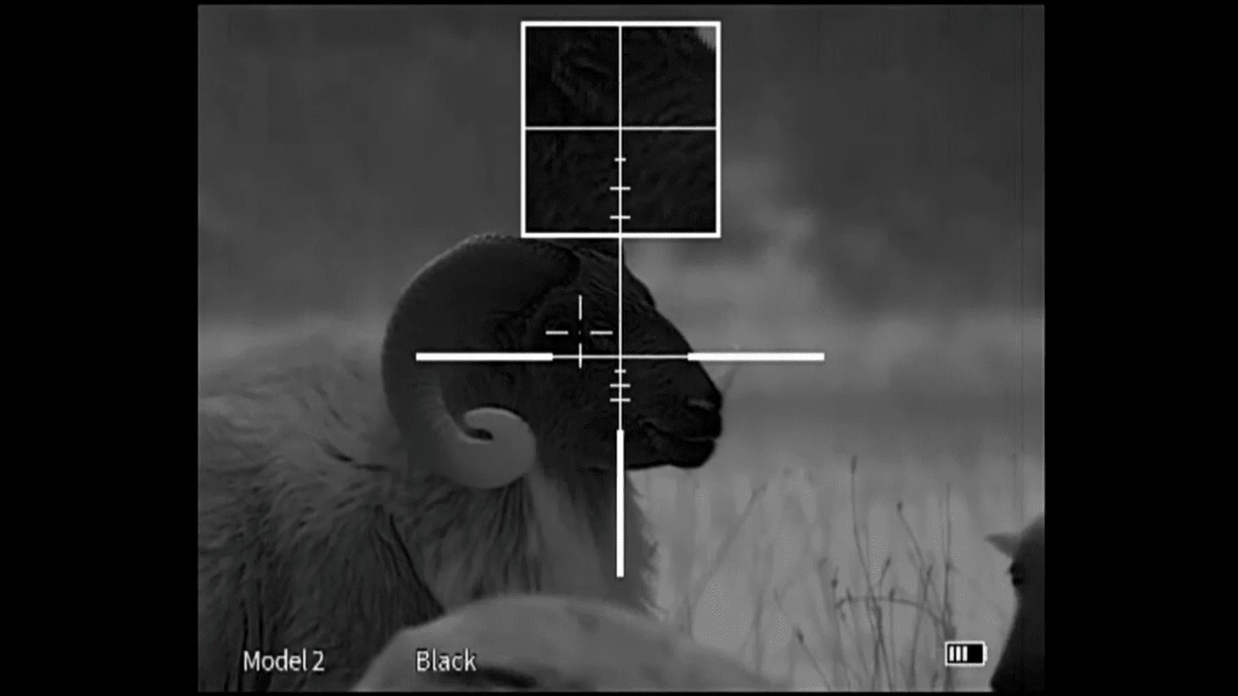 13 Best Thermal Scopes In 2024, Tested And Reviewed