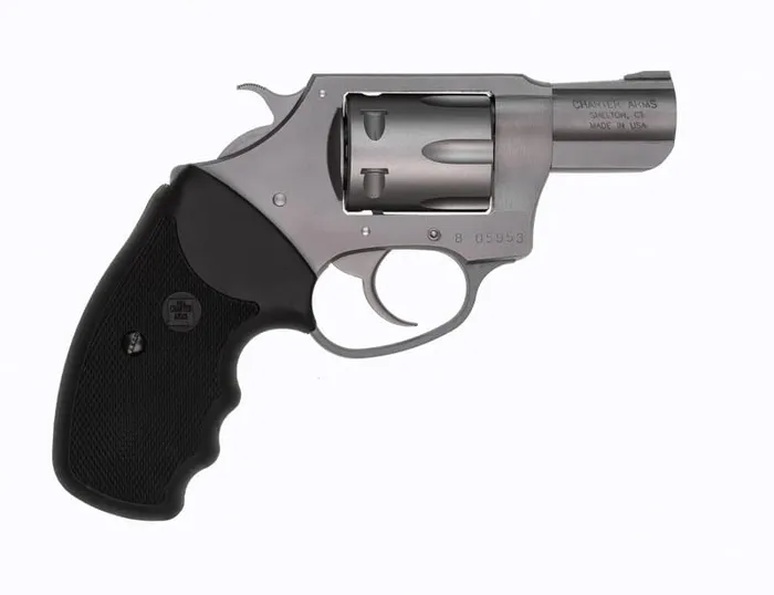 Charter Arms Pathfinder .22