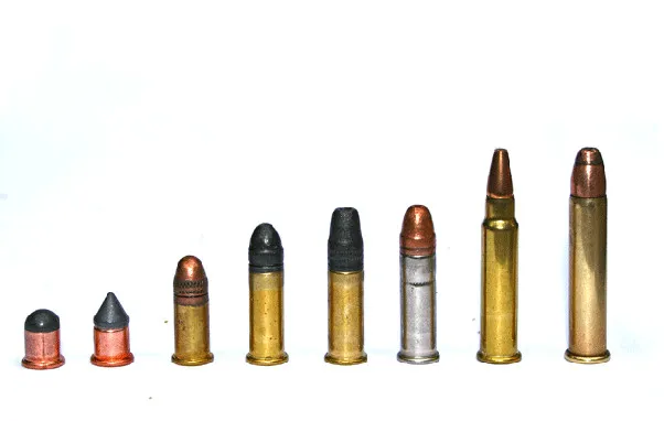 Different .22 offerings