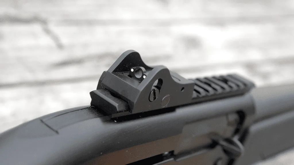 FN SLP Tactical sights