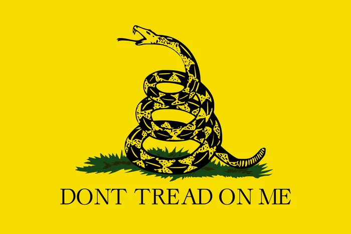 “Don’t Tread On Me” – The Everchanging Symbolism of the Gadsden Flag preview image