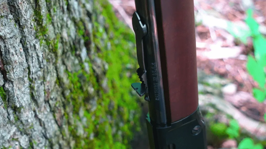 Henry Classic Lever Action .22 (2)
