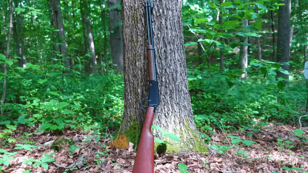 Henry Classic Lever Action .22 (3)