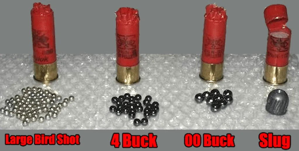 Intro to Gun Calibers buck shot