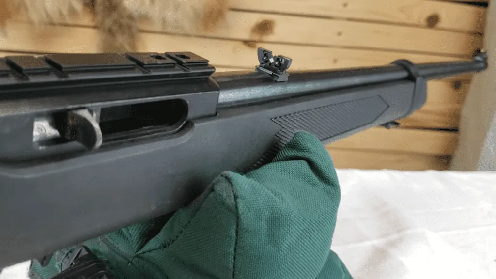 Ruger 10 22 carbine review