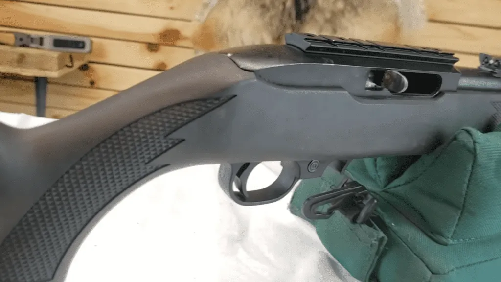 Ruger 10 22 carbine review (2)