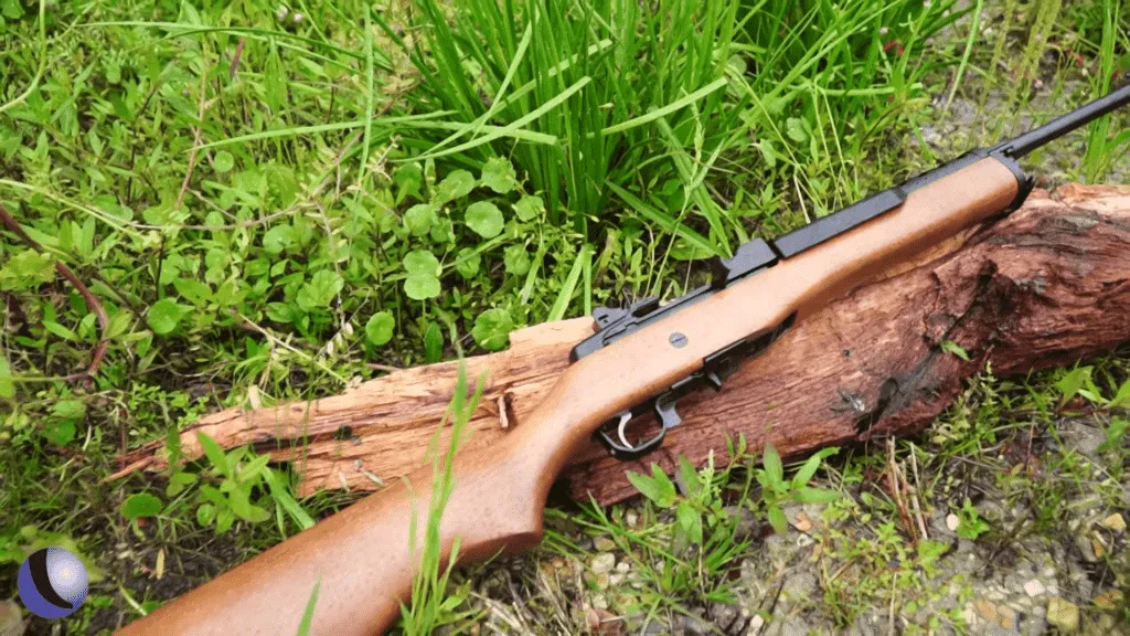 Ruger Mini 14 Review (2)