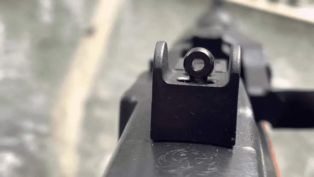 Ruger Mini 14 sights (2)