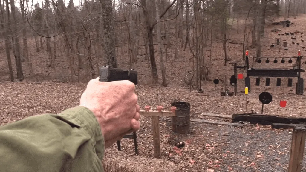 SIG SAUER P365
