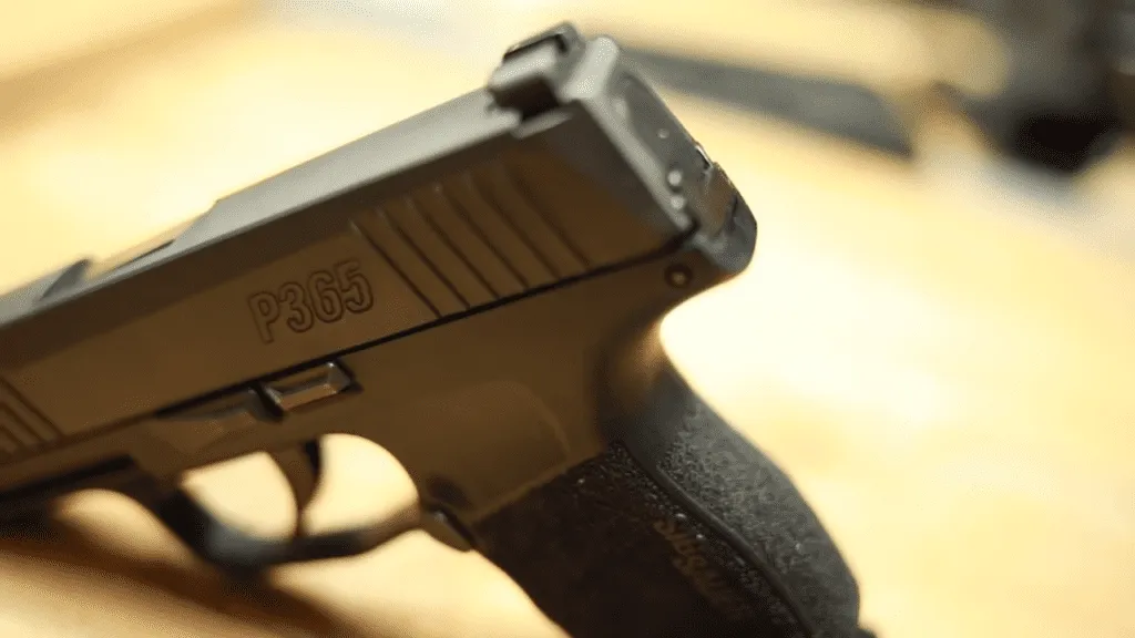 Sig P365 standing up