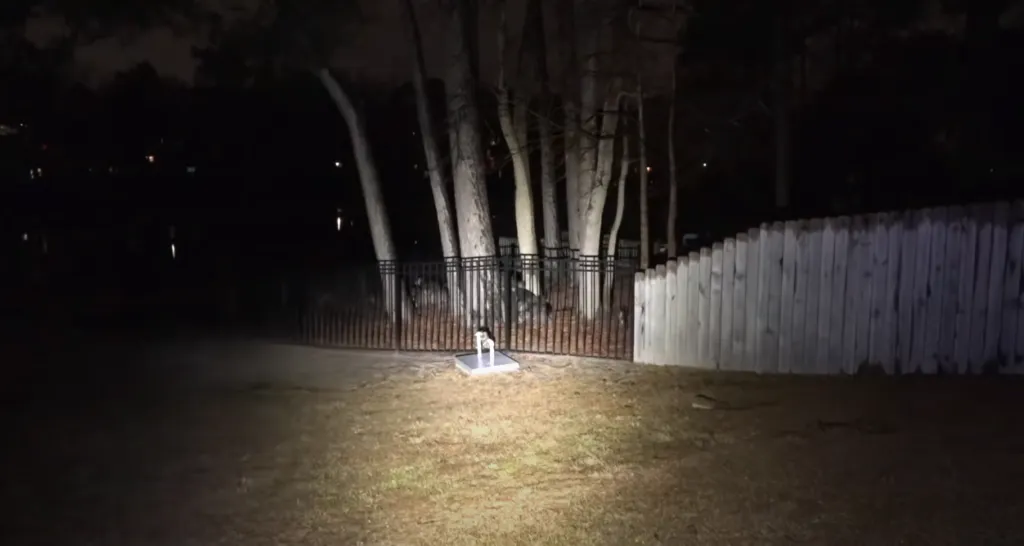 Surefire X300 At Night Test