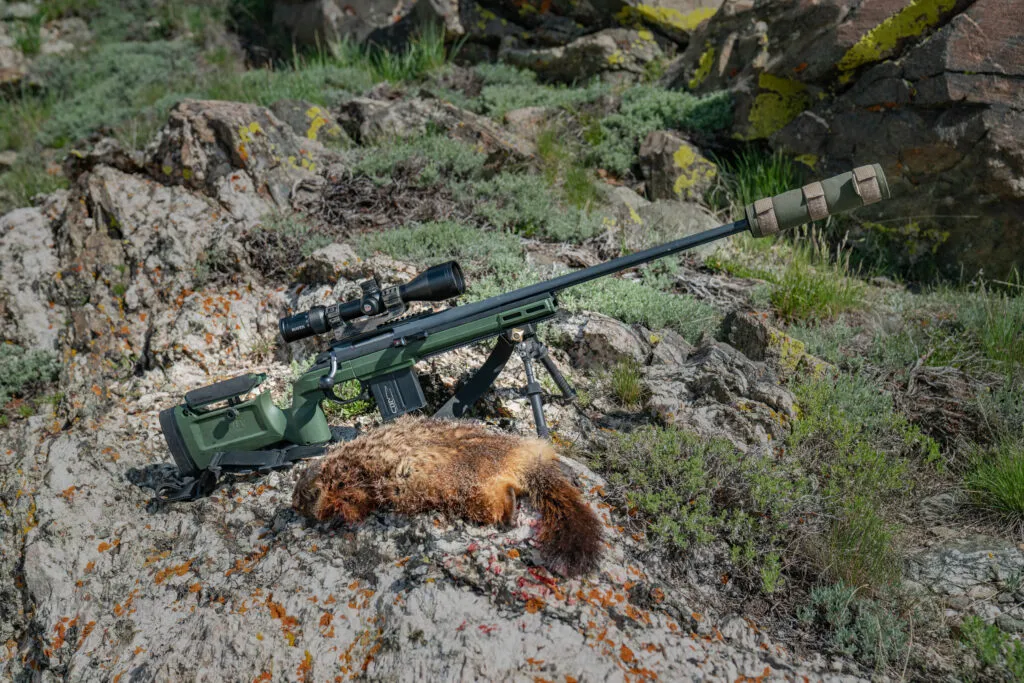 maven rs.3 hunting
