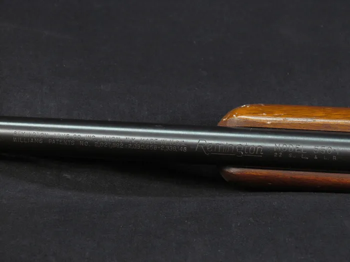 Remington 550-1 Review: A Classic .22 Rifle [2024] preview image