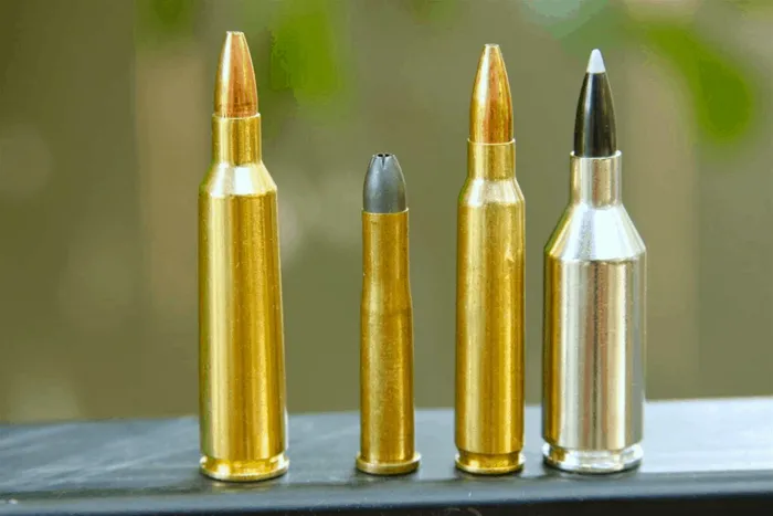 .22-250 Remington Vs. .243 Winchester preview image