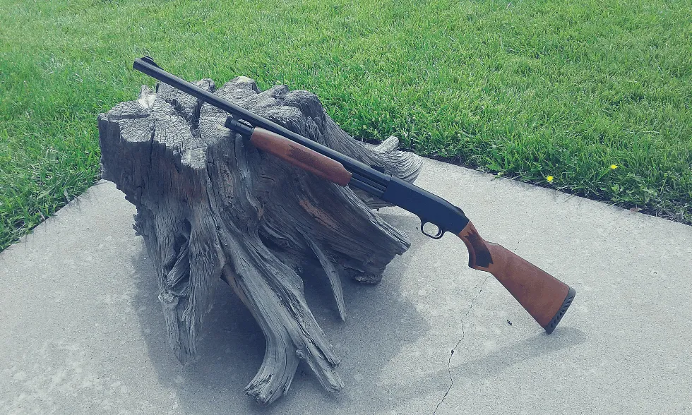 mossberg shotgun on tree stump