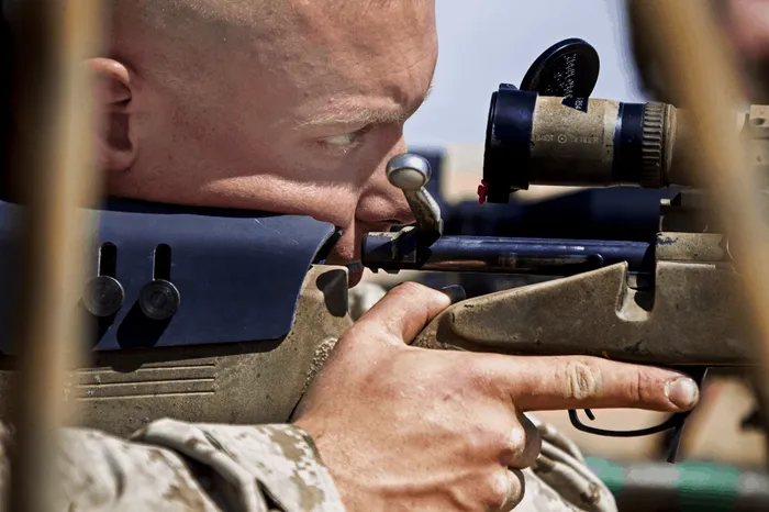 The 8 Best But Cheap Rifles [2023] preview image