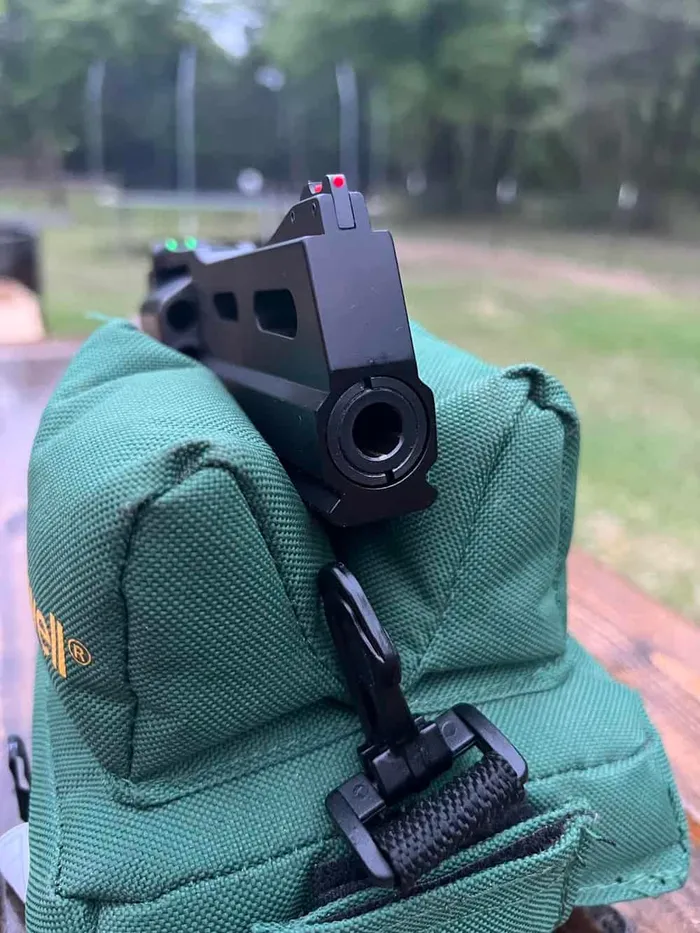 chiappa 40ds barrel and front sight view