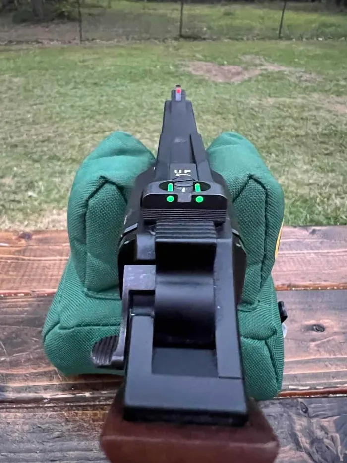chiappa 40ds rear and front sights