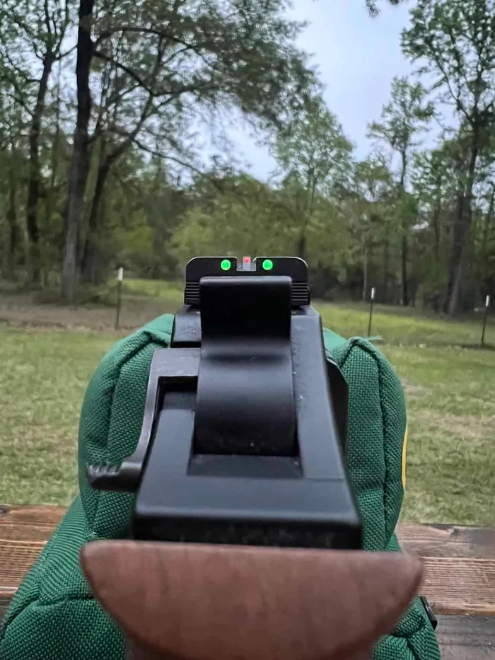 chiappa 40ds rear and front sights