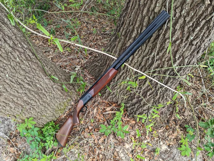Cz drake lined up against tree