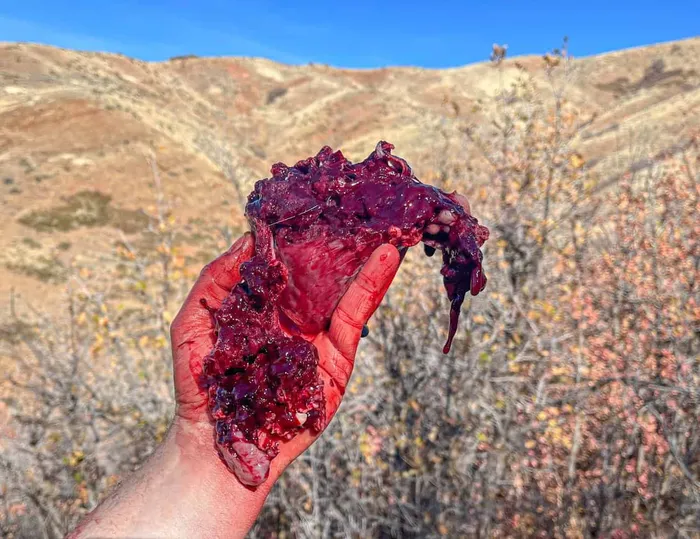 deer heart