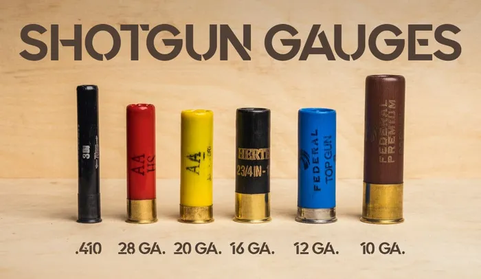 different shotgun gauges