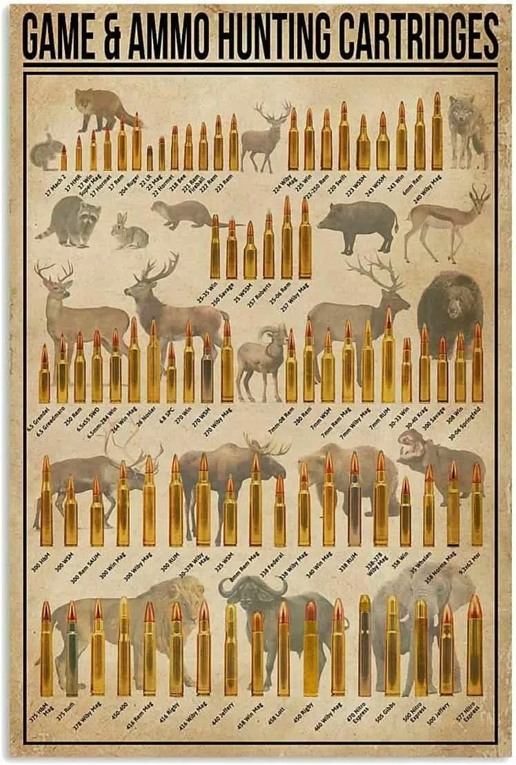 A Comprehensive Guide To Choosing the Right Caliber with a Rifle