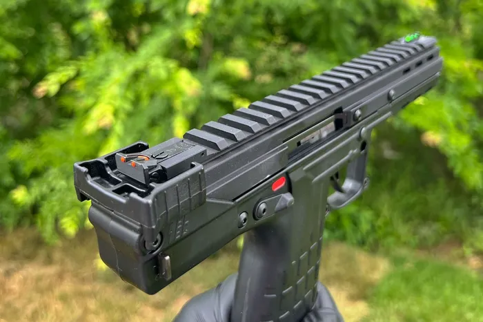 keltec cp33 close up