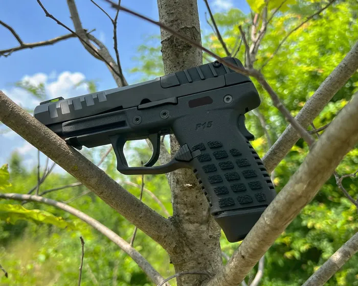 keltec p15 review in trees
