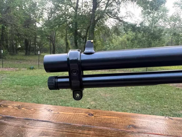 rossi gallery front sights