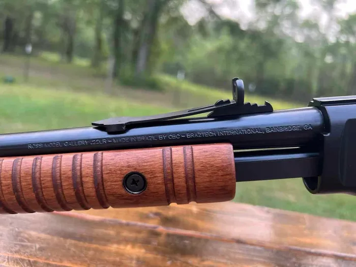 rossi gallery rear sights