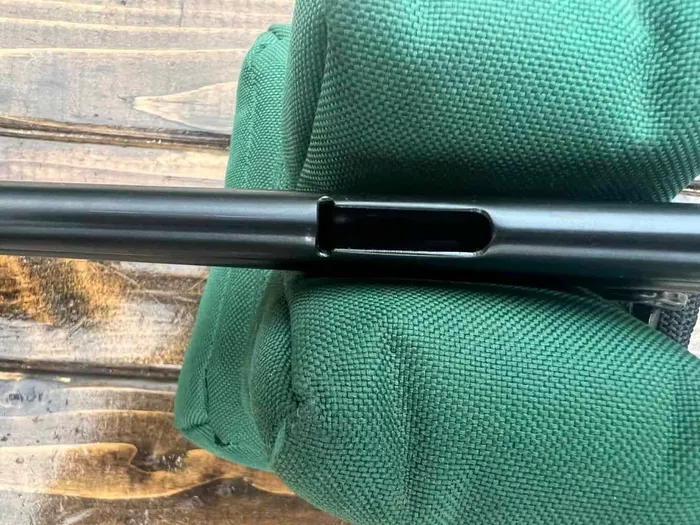rossi gallery removable portion of magazine