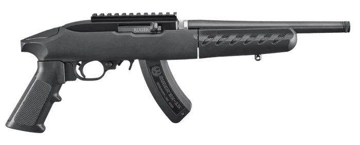 ruger 22 charger takedown