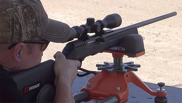 savage a22 magnum rifle scoped in