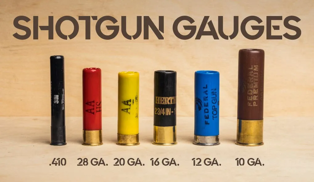 shotgun gauges display