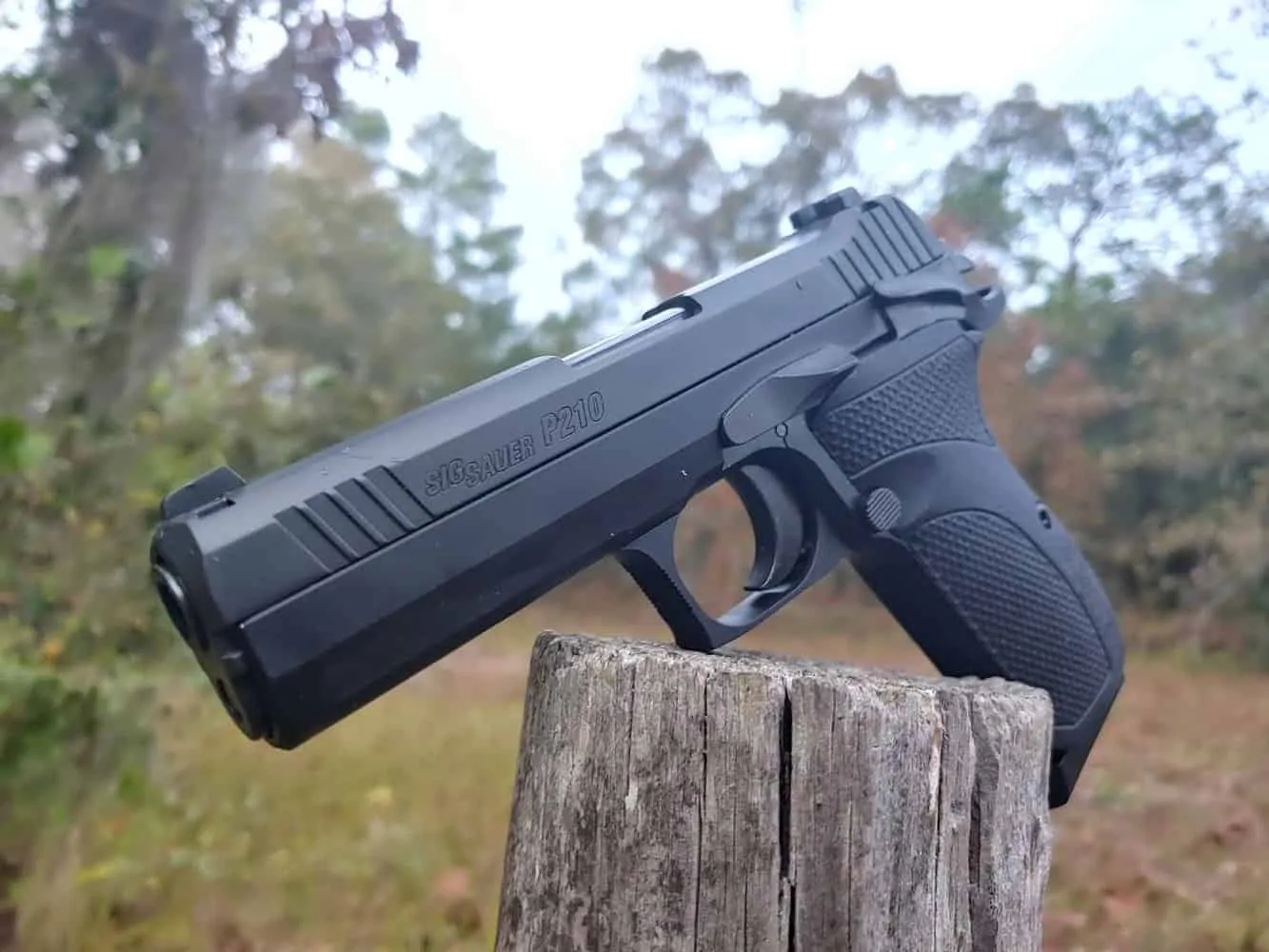 Sig Sauer P210 Carry Review A Modern Classic 2024   Sig Sauer P210 Carry Side Photo 2 DwbzQje 