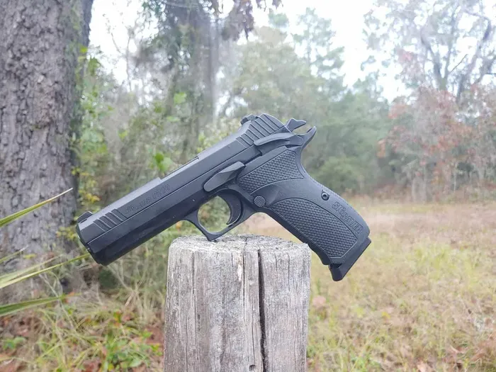 Sig sauer p210 carry side view 3