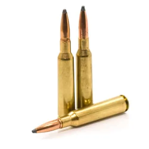 Soft point ammo