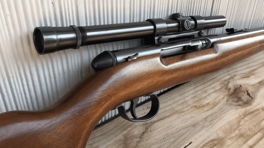 the Remington 550-1 (2)