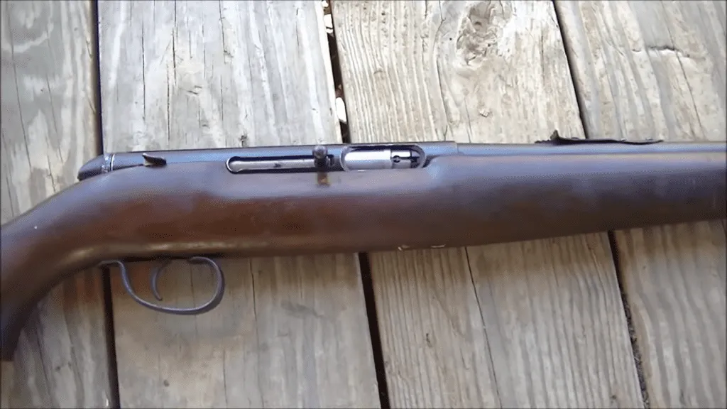 the Remington 550-1 (5)