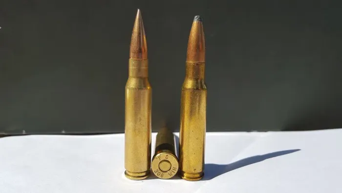 .300 Blackout Vs .308 Winchester: What are the Differences? preview image