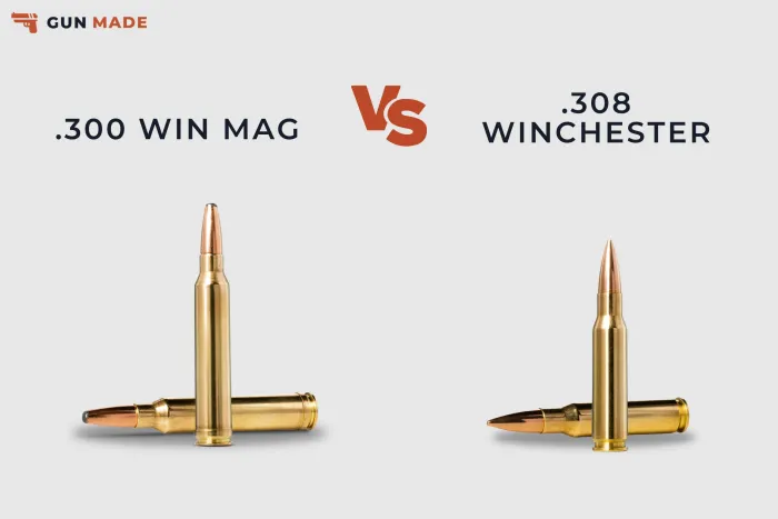 .300 Win Mag vs .308 Winchester: Which Is Right for You? preview image
